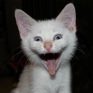 Fundraising Page: Mi Chaing